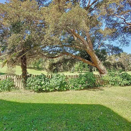 T2 Pour 4 Pers. à Avec Terrasse - Fr-1-857-11 *